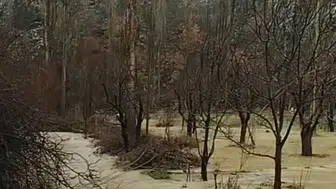 Konya'nın Çarşamba Çayı coştu: Çiftçiler mutlu!