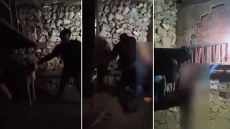 Çocuğa ahırda şiddet uygulayan şüpheli, yeniden gözaltında