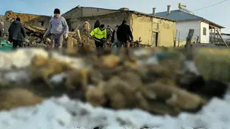 Ağıl çöktü, 40 koyun öldü