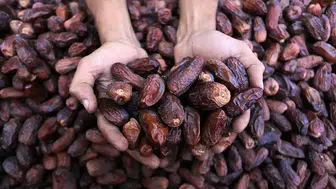 Hurma için 5 yılda yaklaşık 279 bin ton ithalat