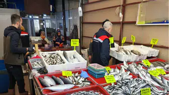 Beyşehir Gölünde su ürünlerine yönelik denetim yapıldı