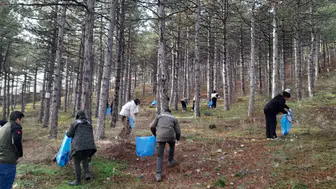 Harezmi projesiyle orman yangınlarına karşı dev proje