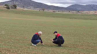 Konya'da yetiştirilen o üründe sevindiren haber geldi: Rekolte yüksek olacak!