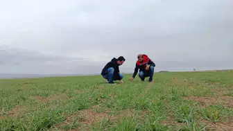 Konya tarlalarında denetim var: Ekipler sahada!