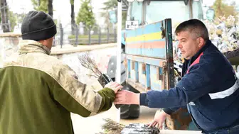 Konya'da mezarlıkta ücretsiz lavanta dağıtıldı!