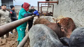 Konya'da karantina kontrolleri artırıldı
