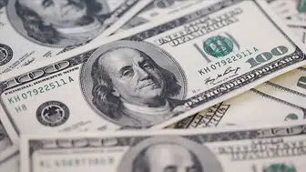 Reel efektif döviz kuru endeksi 103,17 oldu