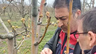 Konya'da ilkbahar denetimleri başladı: Bahçeler yakın takipte!