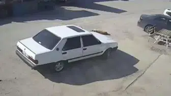 Köpeğin üzerinden otomobili ile geçip, sürükleyen sürücü gözaltında