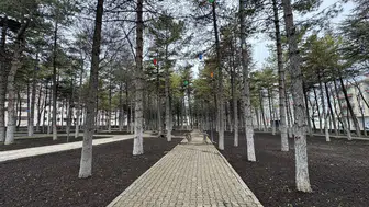 Konya'ya Olof Palme Parkı müjdesi: Son dokunuşlar yapılıyor!