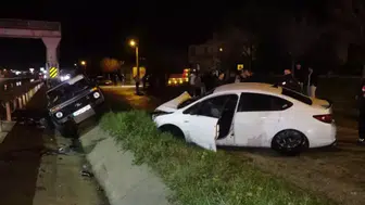 Kaza sonrası kaçan kedi bulunamadı