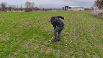 Konya'da zararlı kontrolleri yapılıyor!