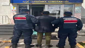 Çok yediğini iddia ettiği köpeğini ağaca asıp öldürdü