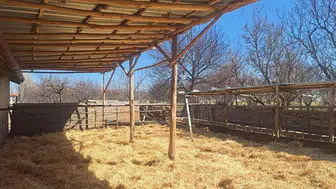 Konya’da tepki çeken görüntüler sonrası besi çiftliğinde inceleme