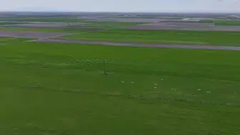 Bahar yağmurları çiftçinin yüzünü güldürdü