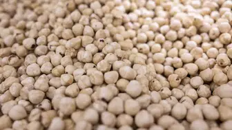 Fndık ihracatı 379 milyon dolara ulaştı