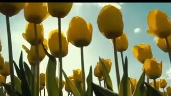 Konya turizm haftasında ilke imza atıyor!