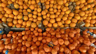 Turunçgil ihracatı 697,7 milyon dolara ulaştı