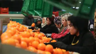 Kadın çalışanların ihracata katkısı 2 kat arttı