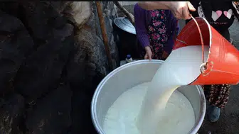 Süt üreticisinin beklediği haber geldi: Yeni fiyat belli oldu