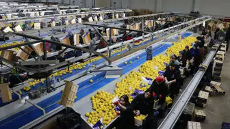 Türkiye, en fazla yaş meyve sebzeyi Irak'a gönderdi