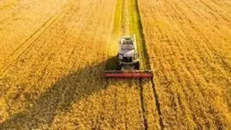 Tarım üretici fiyatları arttı
