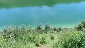 Sulama kanalında kadın cesedi bulundu