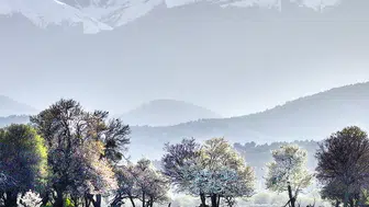 Konya'da bahar ve kar aynı karede: 2 mevsim görsel şölen oluşturdu!