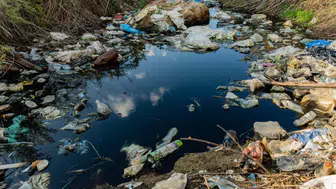 Doğadan mikroplastiklere karşı doğal çözüm