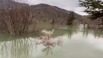 Konya'nın yağış alan o bölgesinde mahalle sular altında kaldı!