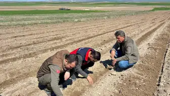 Konya’da baharlık ekim alarmı: Tarih açıklandı!