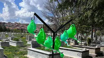 Konya'nın o mezarlığında görüntüler dikkat çekti!