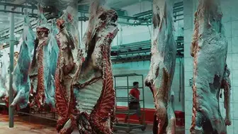 Konya dahil 8 ilde et fiyatı manipülasyonuna 7 tutuklama