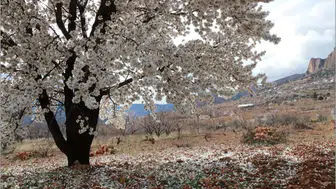 Konya'da bahar kartpostallık görüntülere sahne oldu!