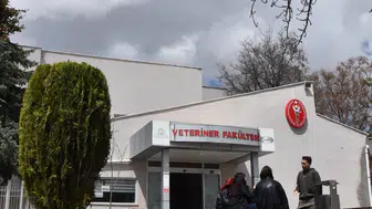 Selçuk Üniversitesi'nden bahar paylaşımı