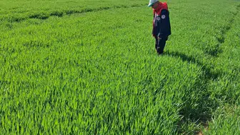 Konya ilçesinde saha çalışmaları hızlandı: Üreticiye yerinde destek