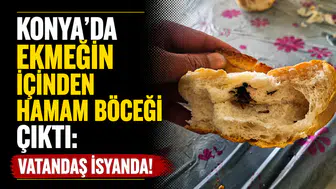 Konya’da ekmeğin içinden hamam böceği çıktı: Vatandaş isyanda!