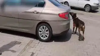 80 kilo uyuşturucu ele geçirildi; 3 tutuklama