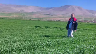 Konya’da süne alarmı! Ekipler sahaya indi!