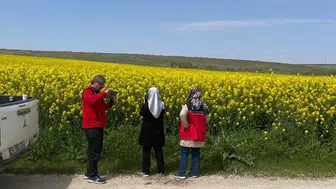 Karatay’da tarlalar alarmda: Süne ve hastalık kontrolleri sıklaştı