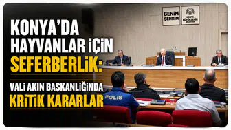 Konya’da hayvanlar için seferberlik