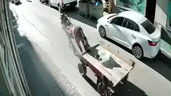 Sürücüsüz at arabası, otomobile çarptı