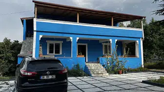 Yüzlerce arı aynı aileye saldırdı