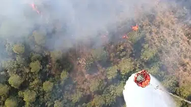 Bursa’da orman yangını