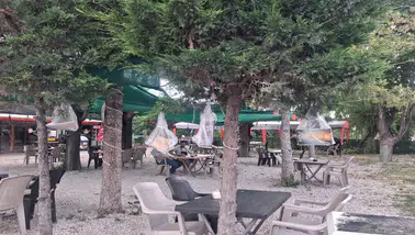 Konyalı Öğretmen, ağaçlara kendi eserlerini astı