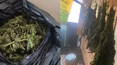 Güvercin kümesinde uyuşturucu ele geçirildi