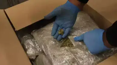 Gümrükte 319 milyonluk esrar yakalandı