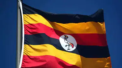 Uganda'da trafik kazası: 63 ölü