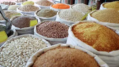 Güneydoğu Anadolu'nun hububat ihracatı  2,9 milyar dolara ulaştı