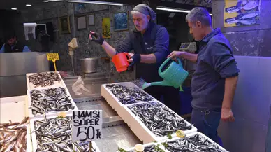 Balıkçı tezgahlarını hamsi süslüyor